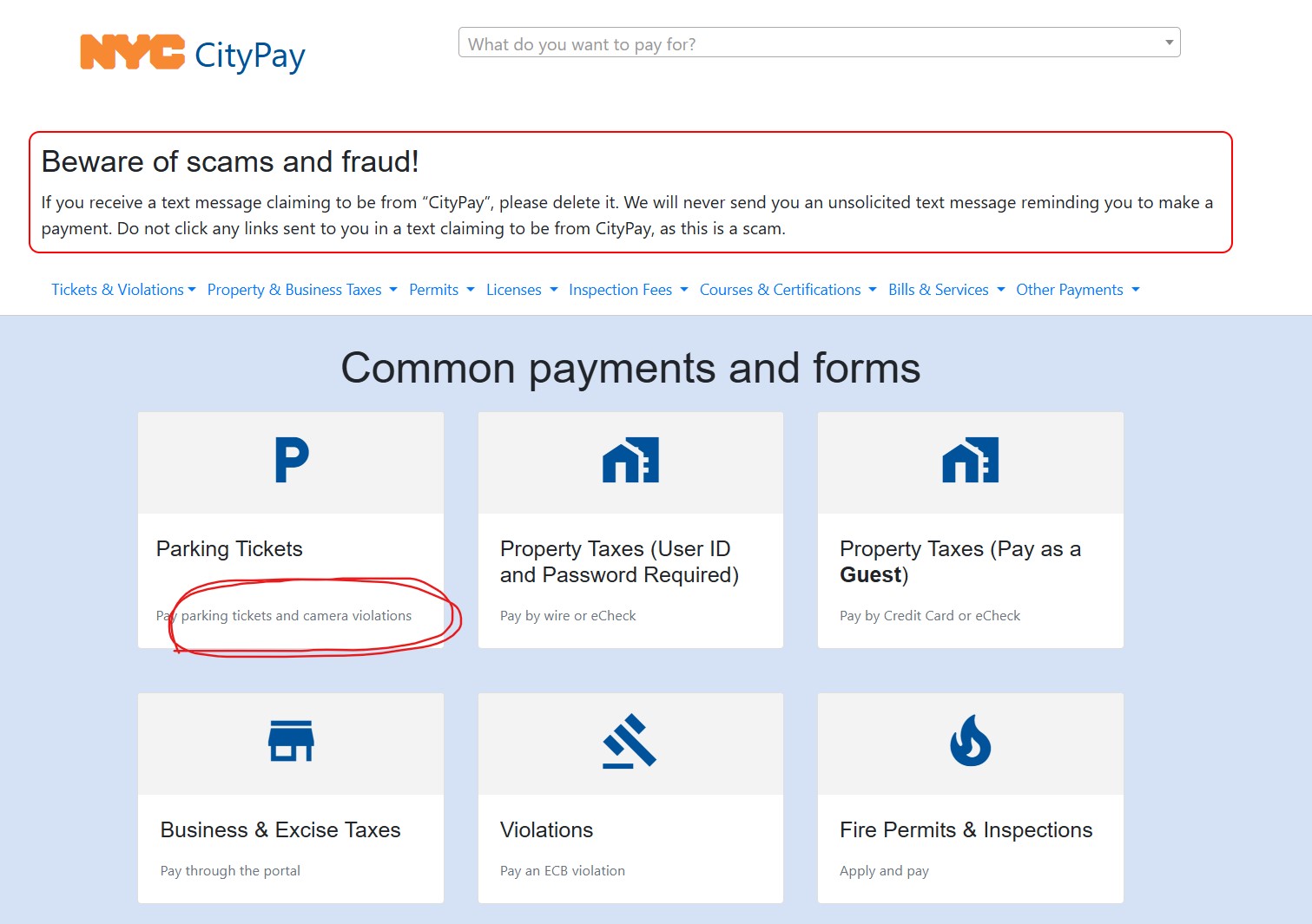 NYC CityPay Portal Screenshot